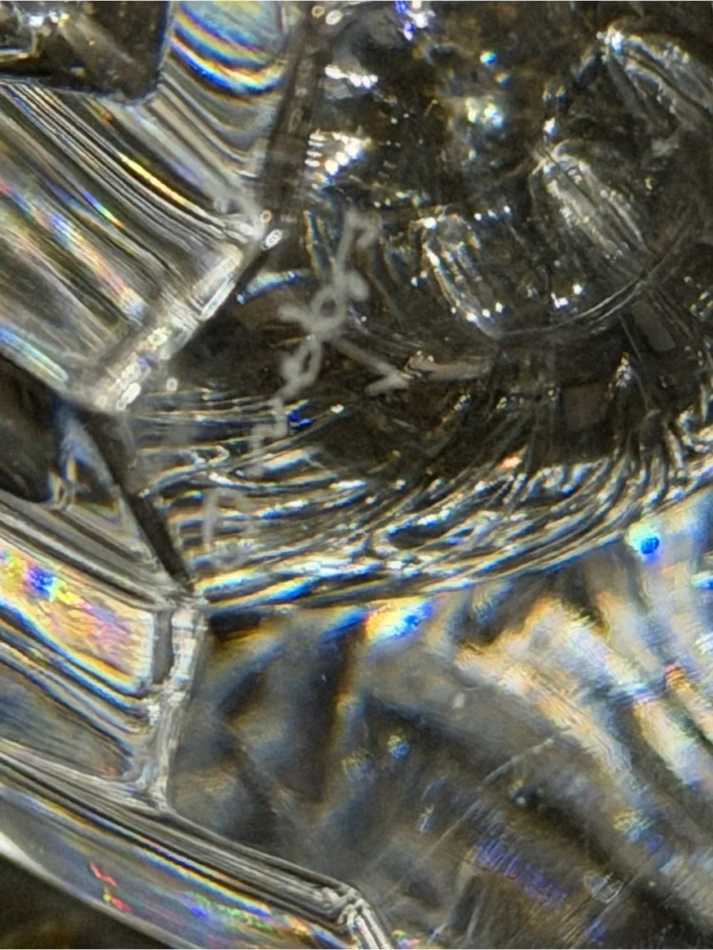 Orrefors Fleur Crystal Vase Jan Johansson | Signed, Made in Sweden | 6” Petite